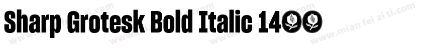 Sharp Grotesk Bold Italic 14字体转换
